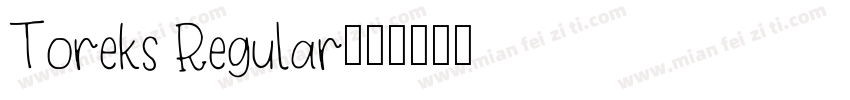 Toreks Regular字体转换
